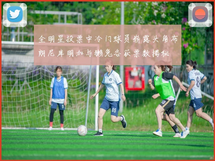 全明星投票中冷门球员崭露头角布朗尼库明加与獭兔各获票数揭秘