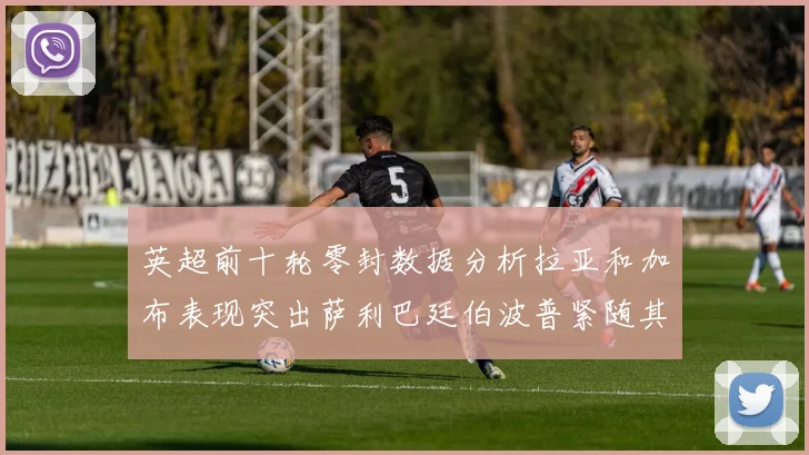 英超前十轮零封数据分析拉亚和加布表现突出萨利巴廷伯波普紧随其后