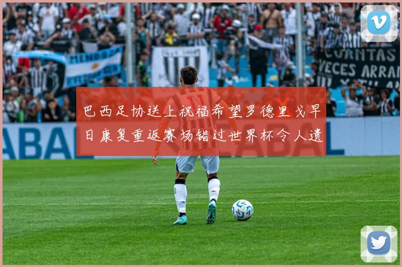 巴西足协送上祝福希望罗德里戈早日康复重返赛场错过世界杯令人遗憾