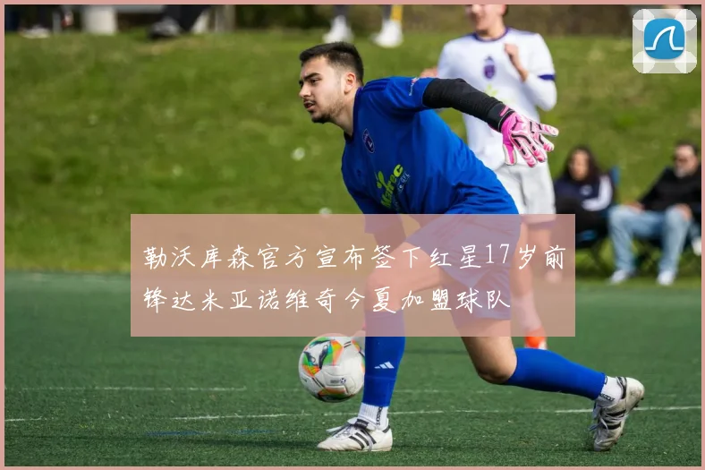 勒沃库森官方宣布签下红星17岁前锋达米亚诺维奇今夏加盟球队
