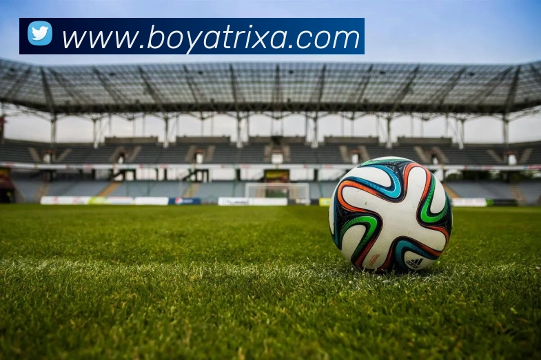 博雅体育APP 封面图